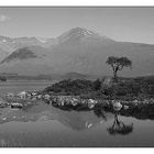 Scotland - Loch Nah-Achlaise