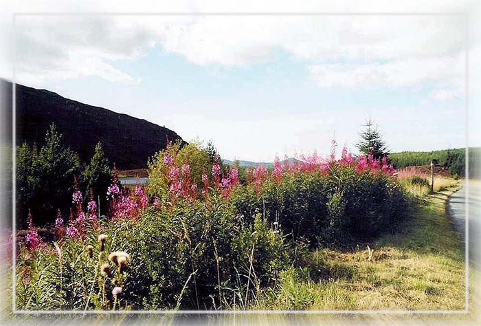 scotland - on the road