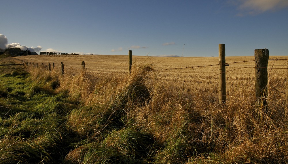 Scotland - On The Road I