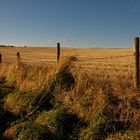 Scotland - On The Road I