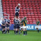 Scotland v South Africa