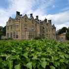 Scotney Castle II