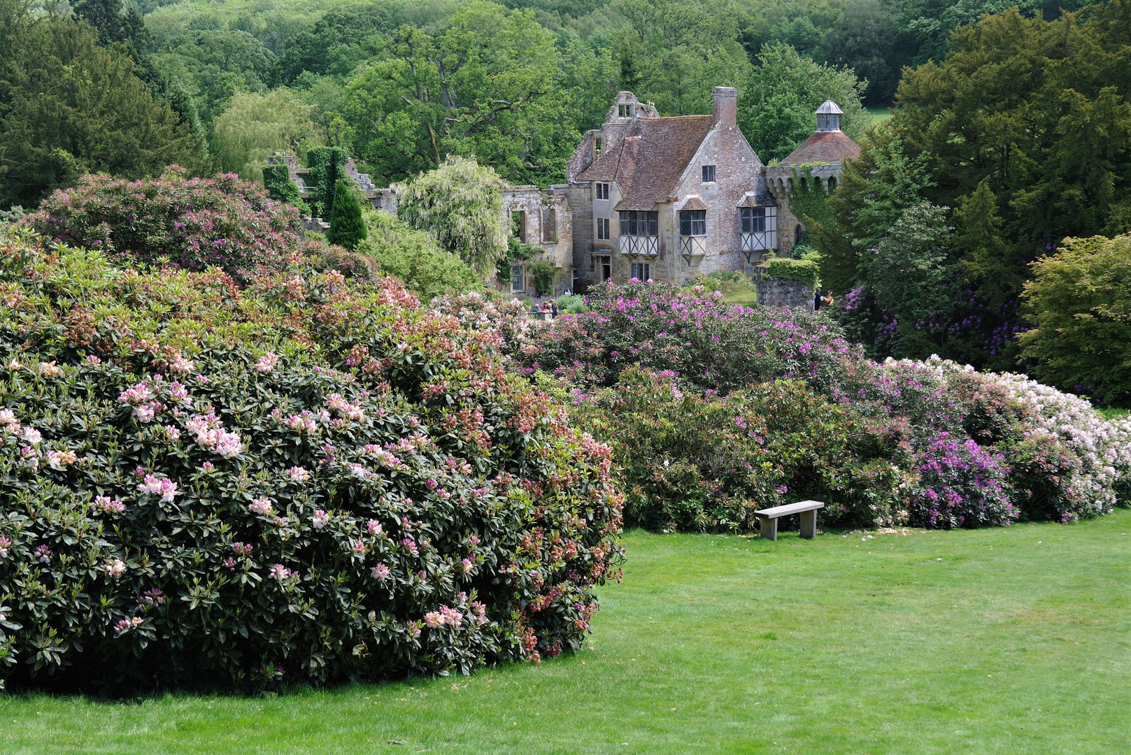 Scotney Castle V