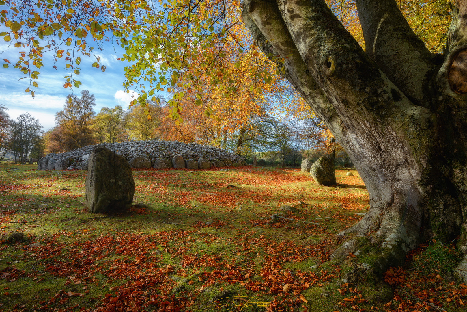 - Scottish autumn -