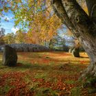 - Scottish autumn -