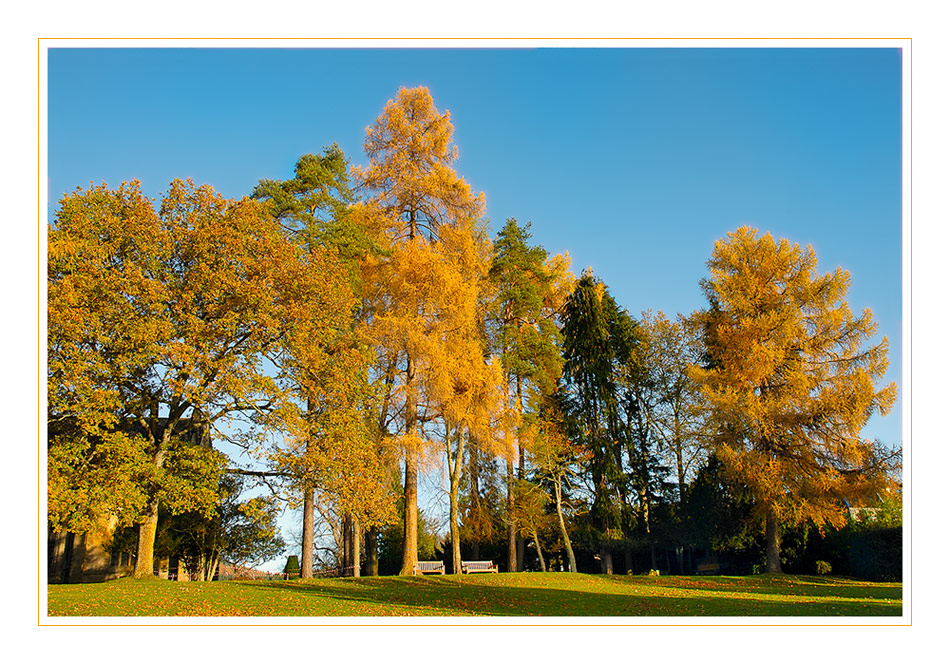 Scottish Autumn Colors