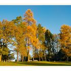 Scottish Autumn Colors