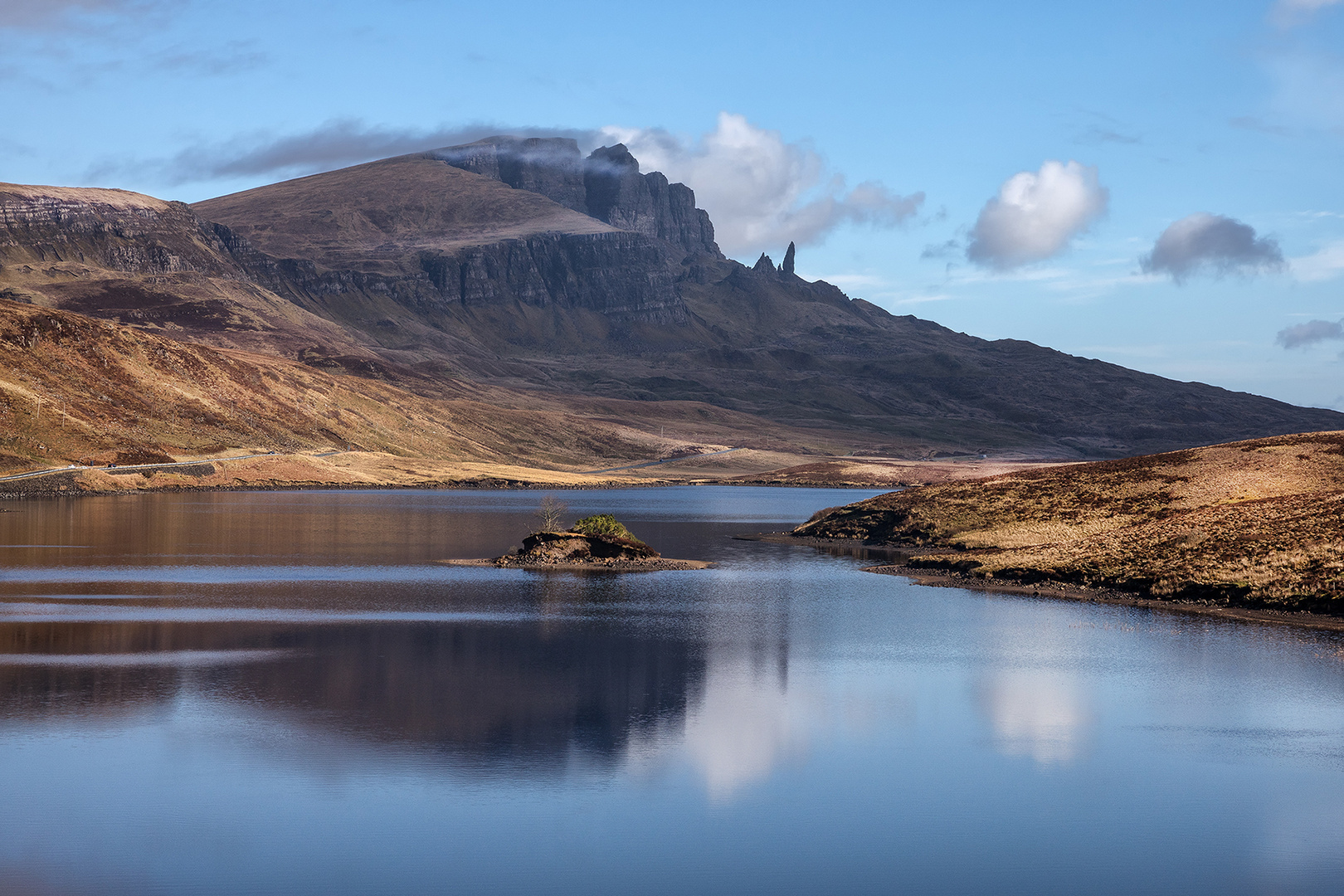 scottish blue