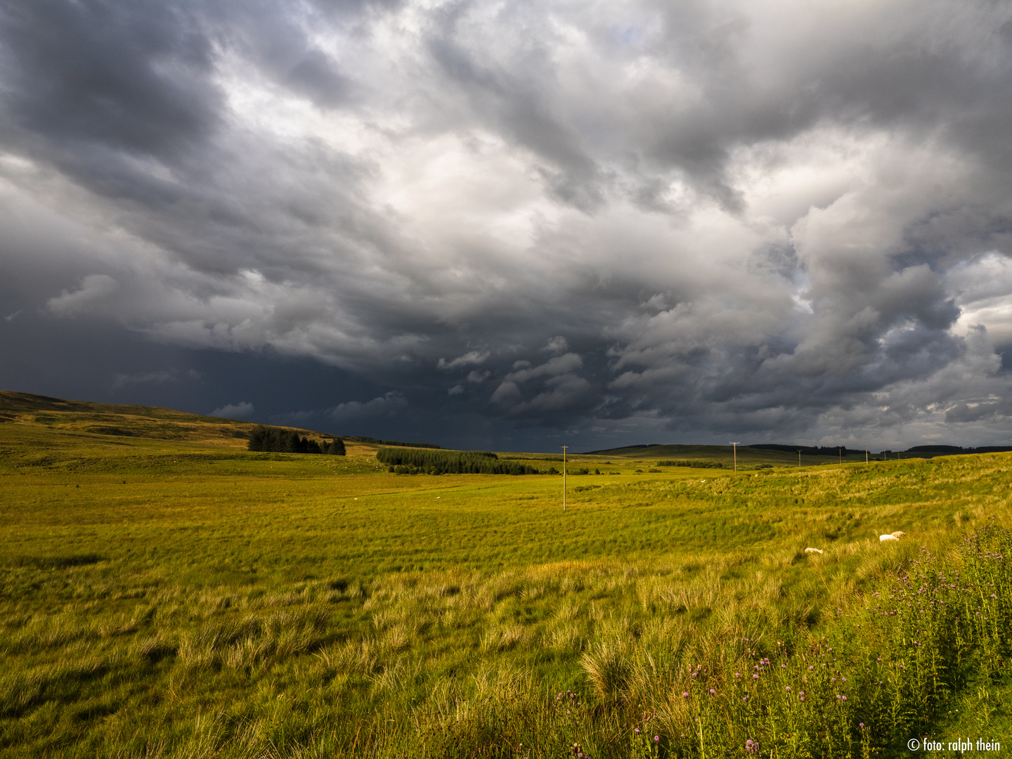 Scottish Borders