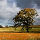 Scottish borders landscape