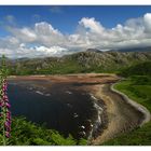 Scottish Coast