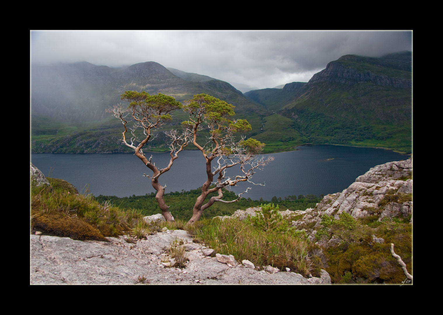 Scottish Ent