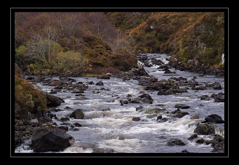 Scottish Highland Impression #1