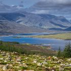 Scottish Highlands