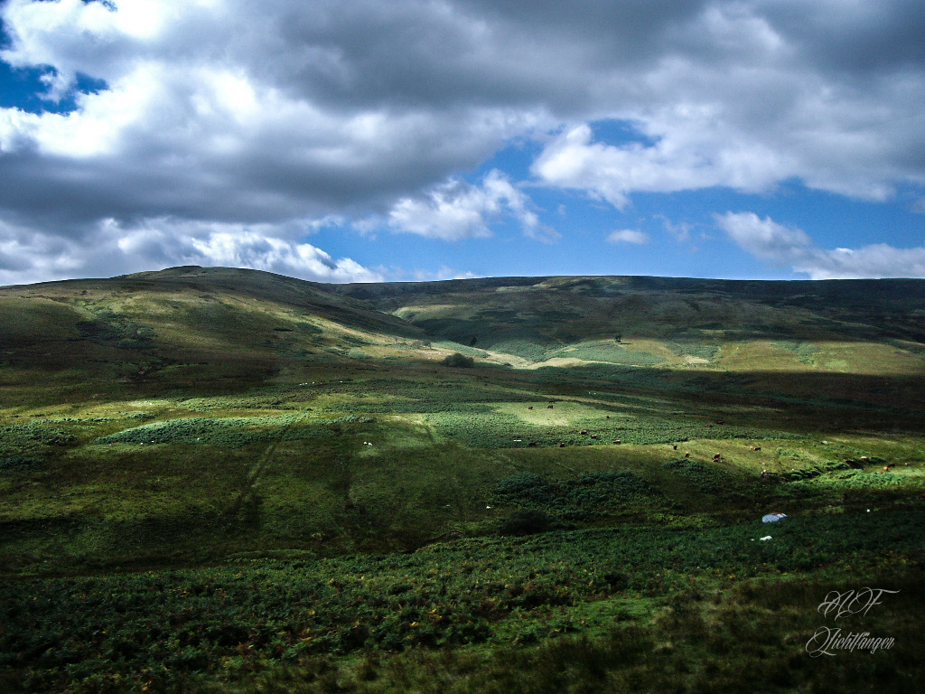 Scottish Hills