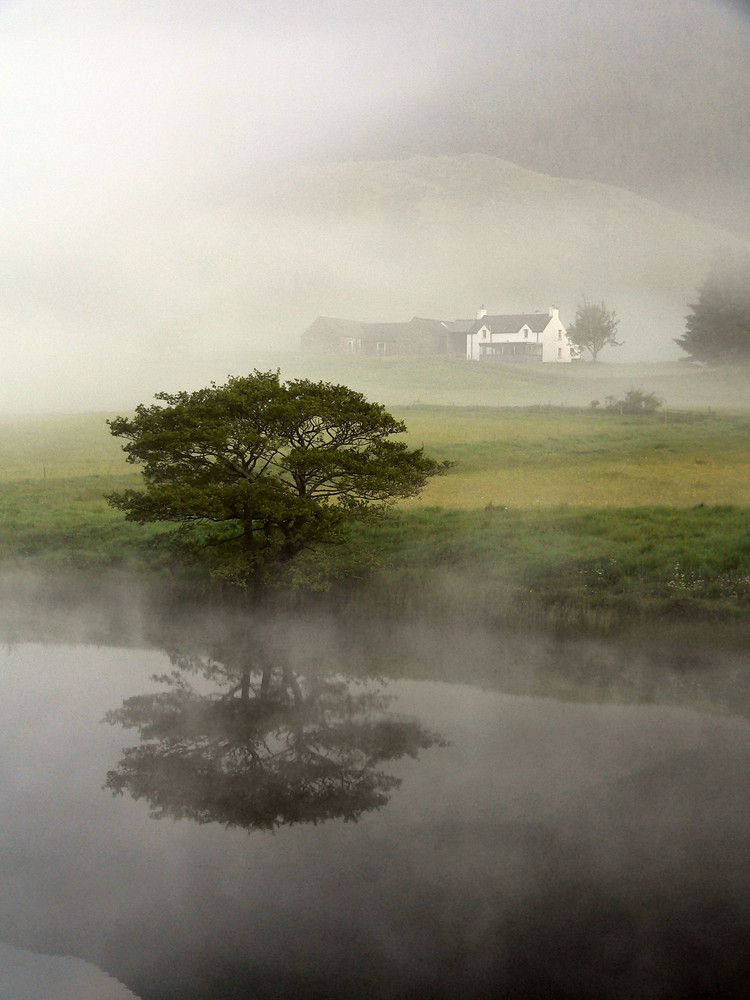 Scottish Mist