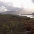 Scottish Moorland