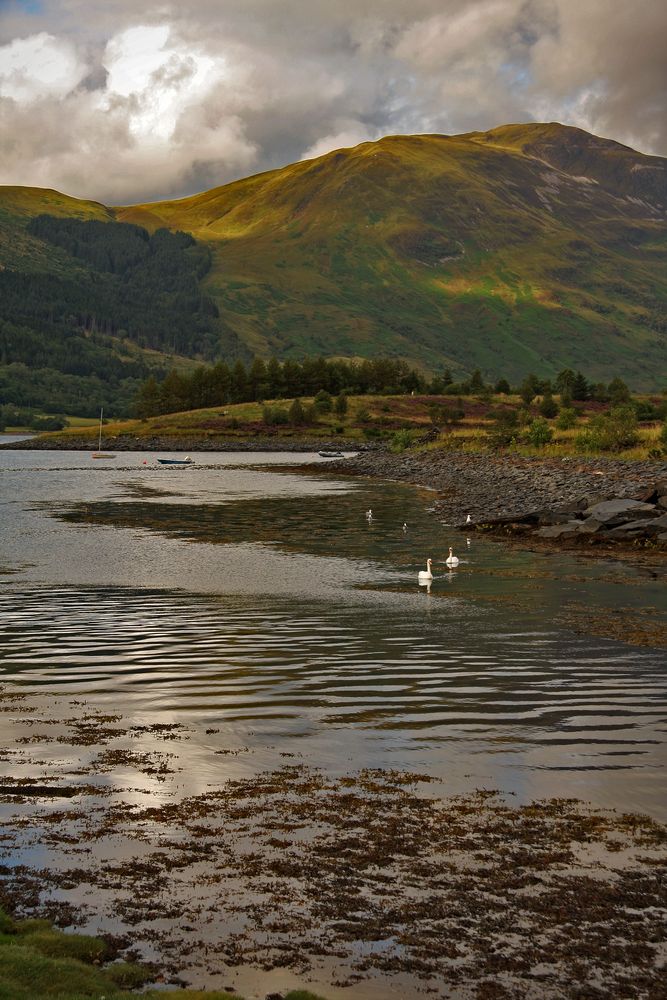 Scottish skies IX