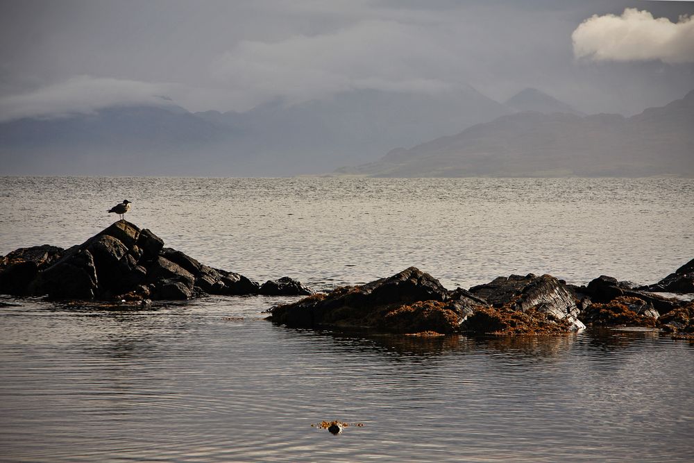 Scottish skies XI