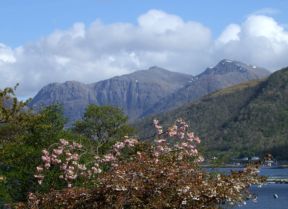 Scottish Spring II