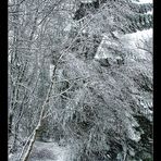 Scottish Springtime