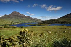 scottish sunshine