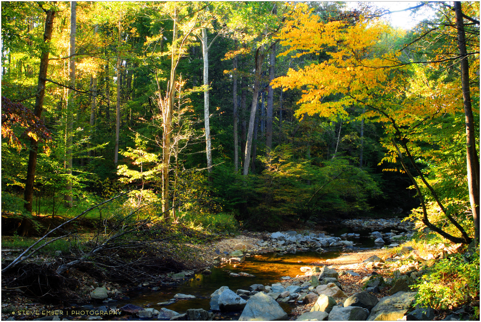 Scott's Run, Early Autumn 