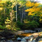 Scott's Run, Early Autumn 