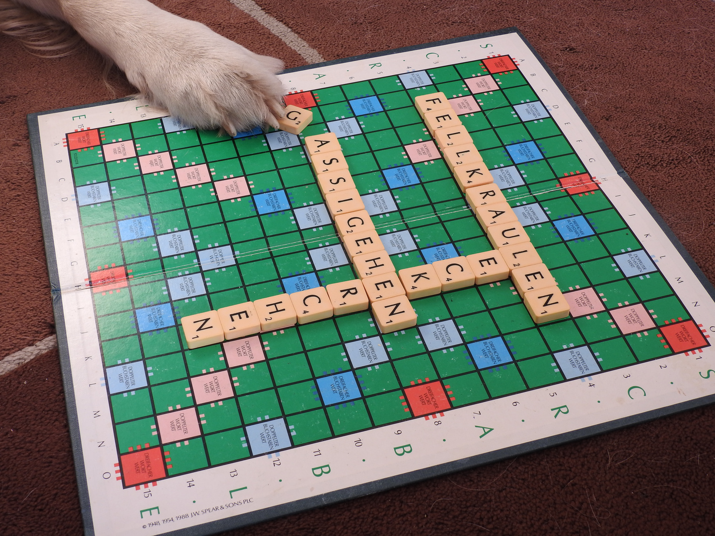 Scrabble mit Hund