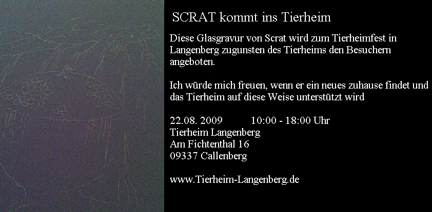 Scrat im Tierheim