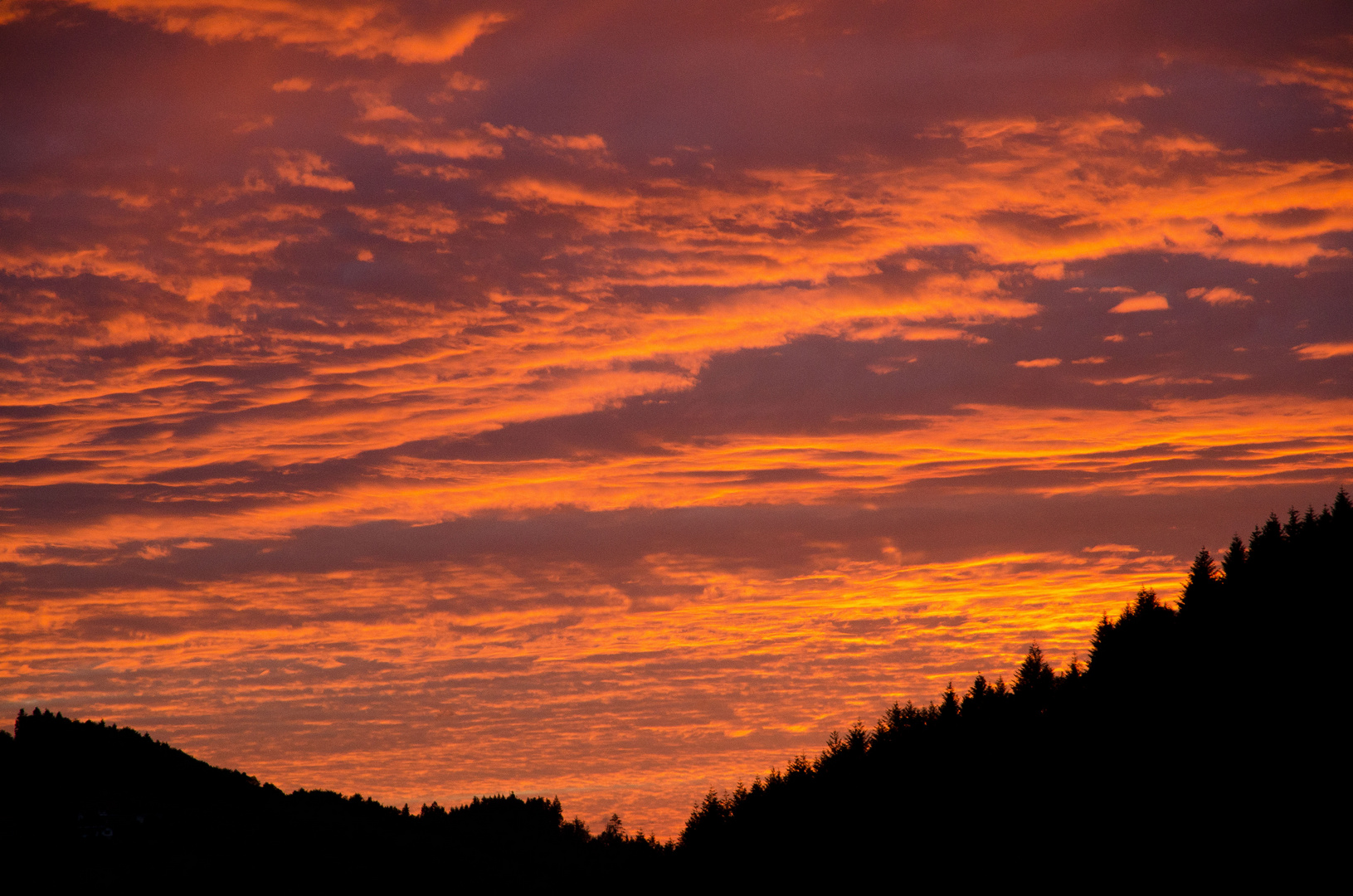 screaming sunset glow