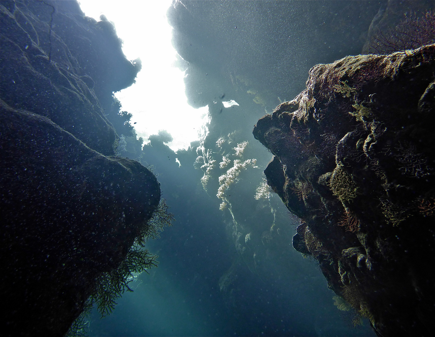 scuba egypt, the red sea 17