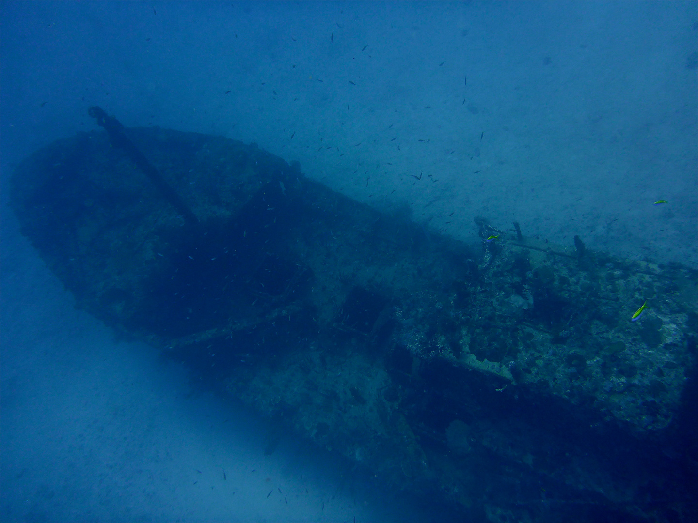 scuba maledives 04