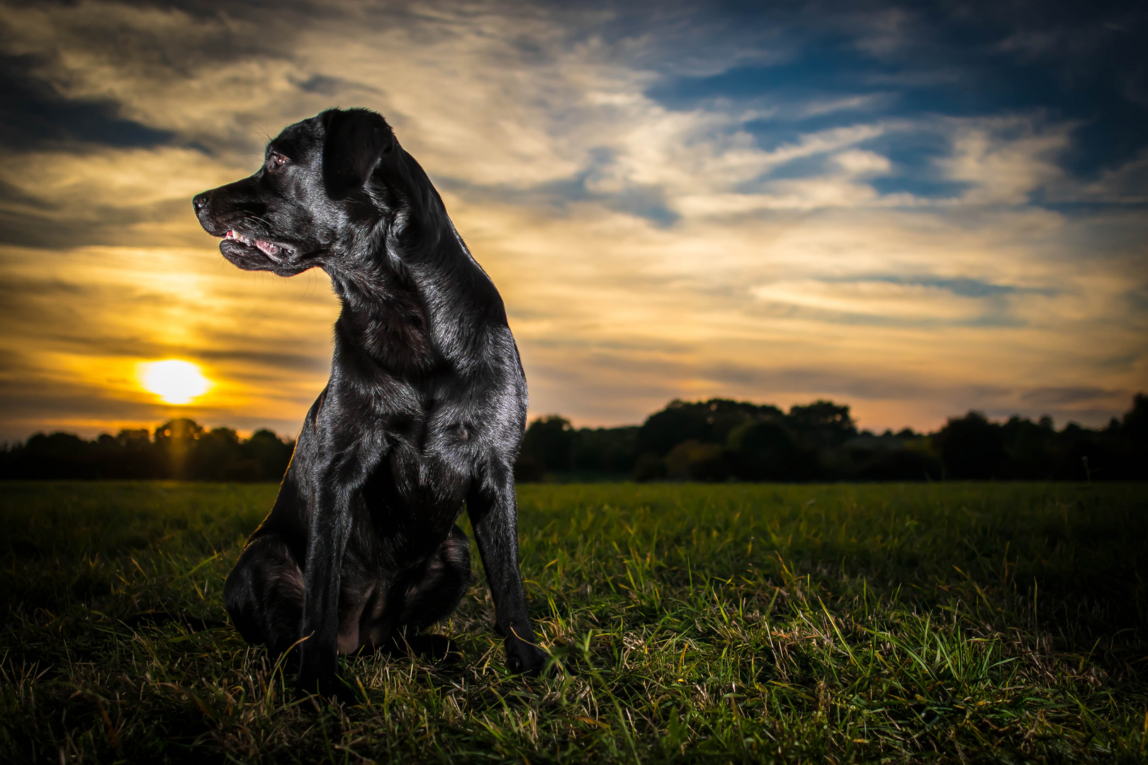 Scully Sunset