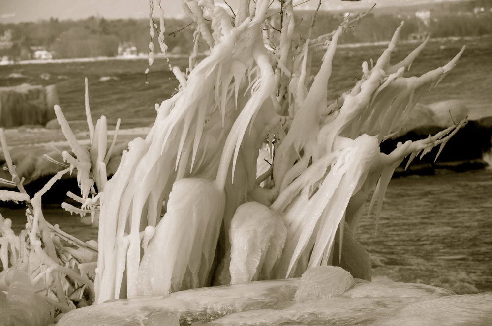 sculpture de glace au bord du Leman