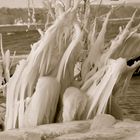 sculpture de glace au bord du Leman