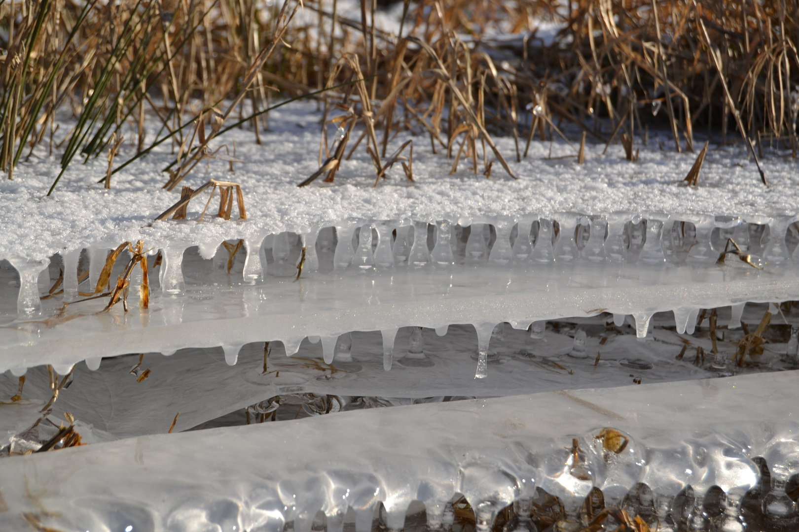 Sculpture de la nature par le froid ... (2)