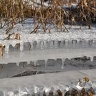 Sculpture de la nature par le froid ... (2)