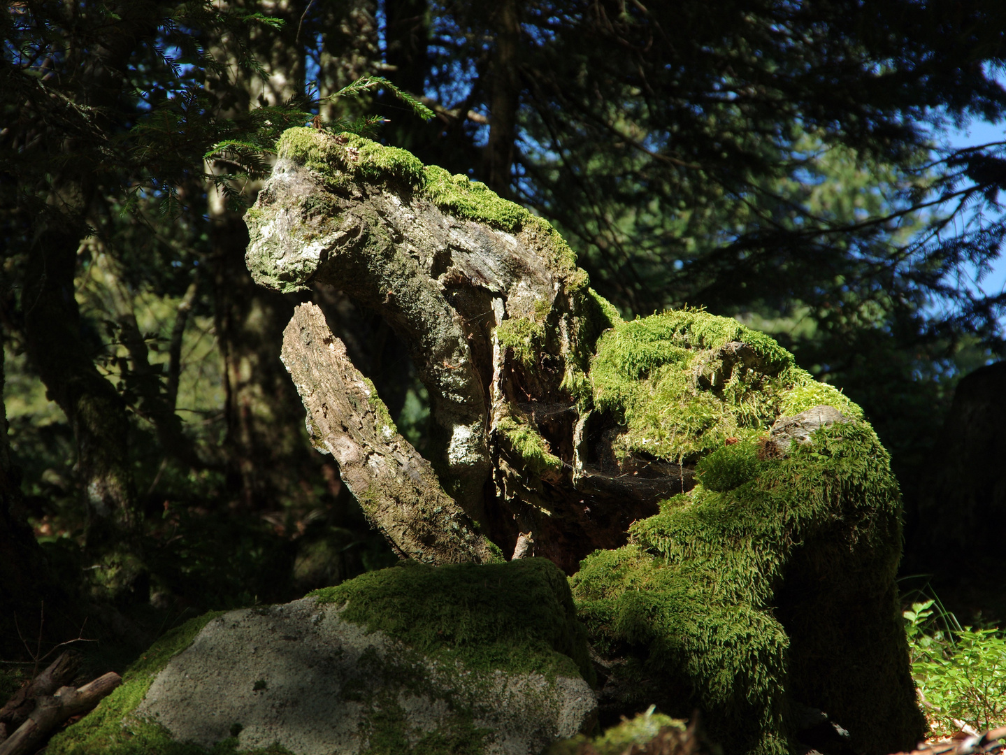 sculpture naturelle