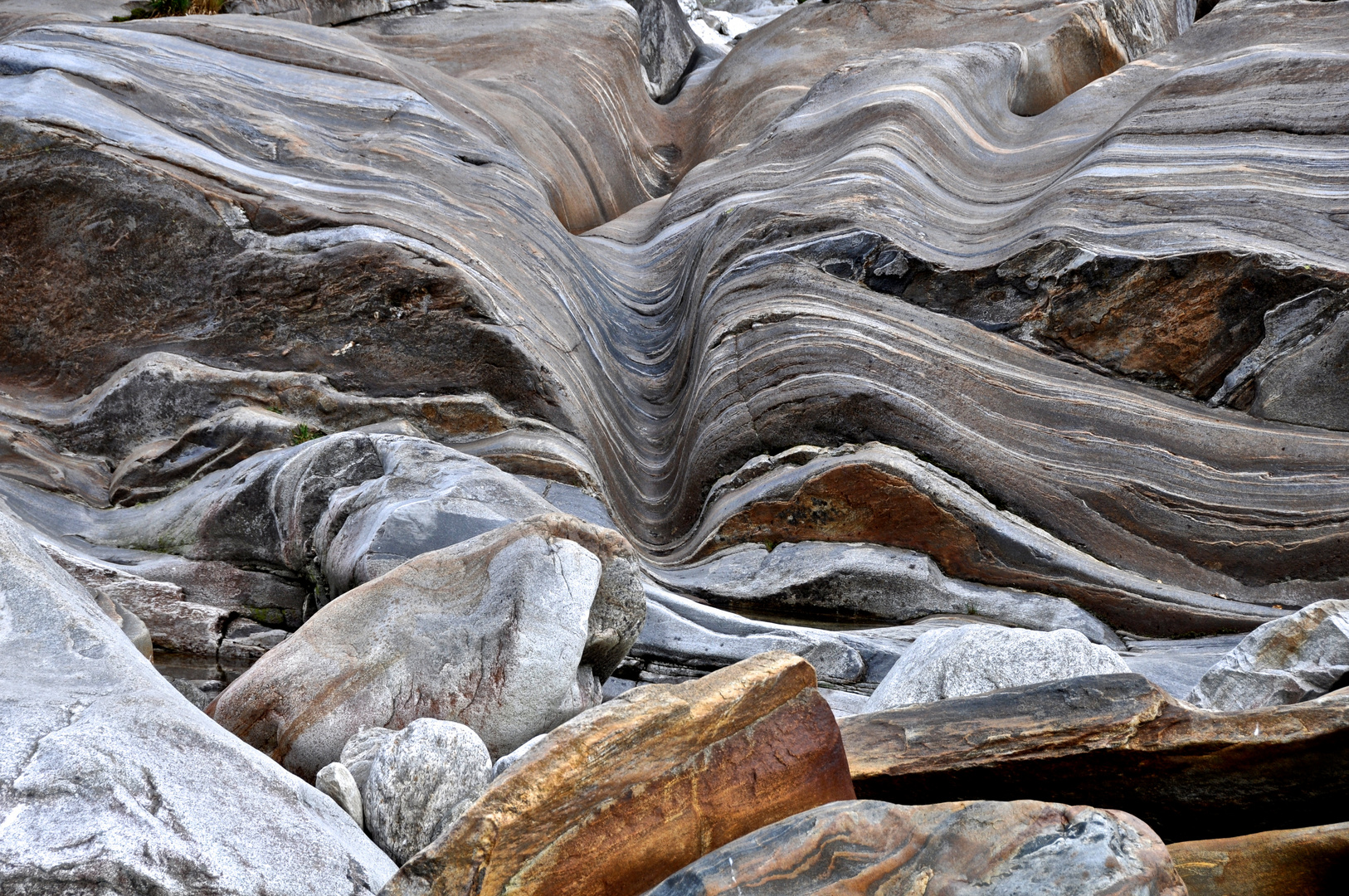 Sculpture naturelle