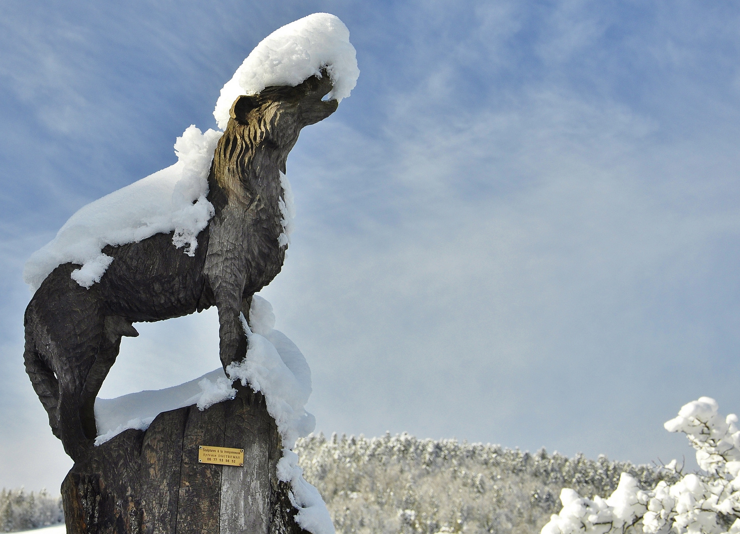 Sculpture sur bois....