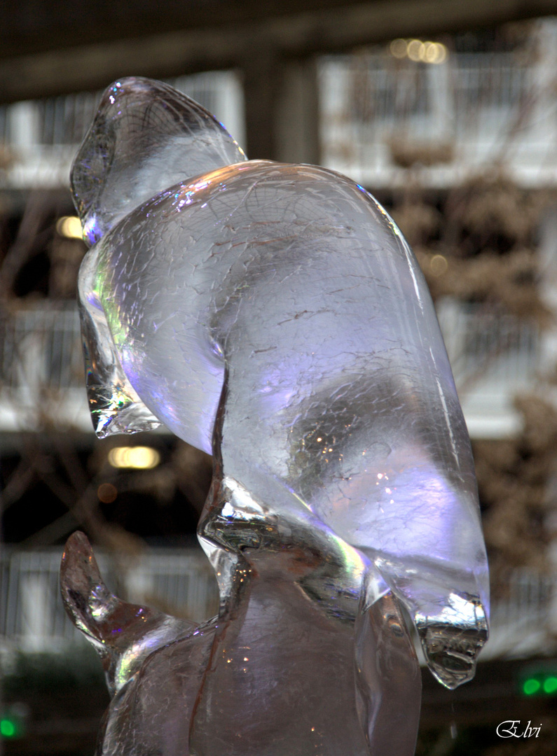 Sculpture sur glace