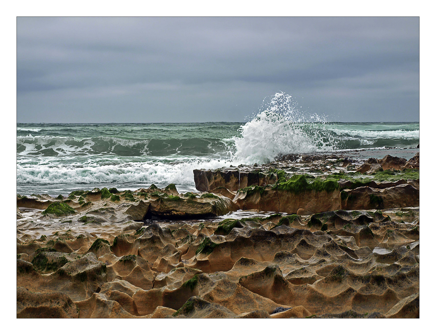 sculptures of nature