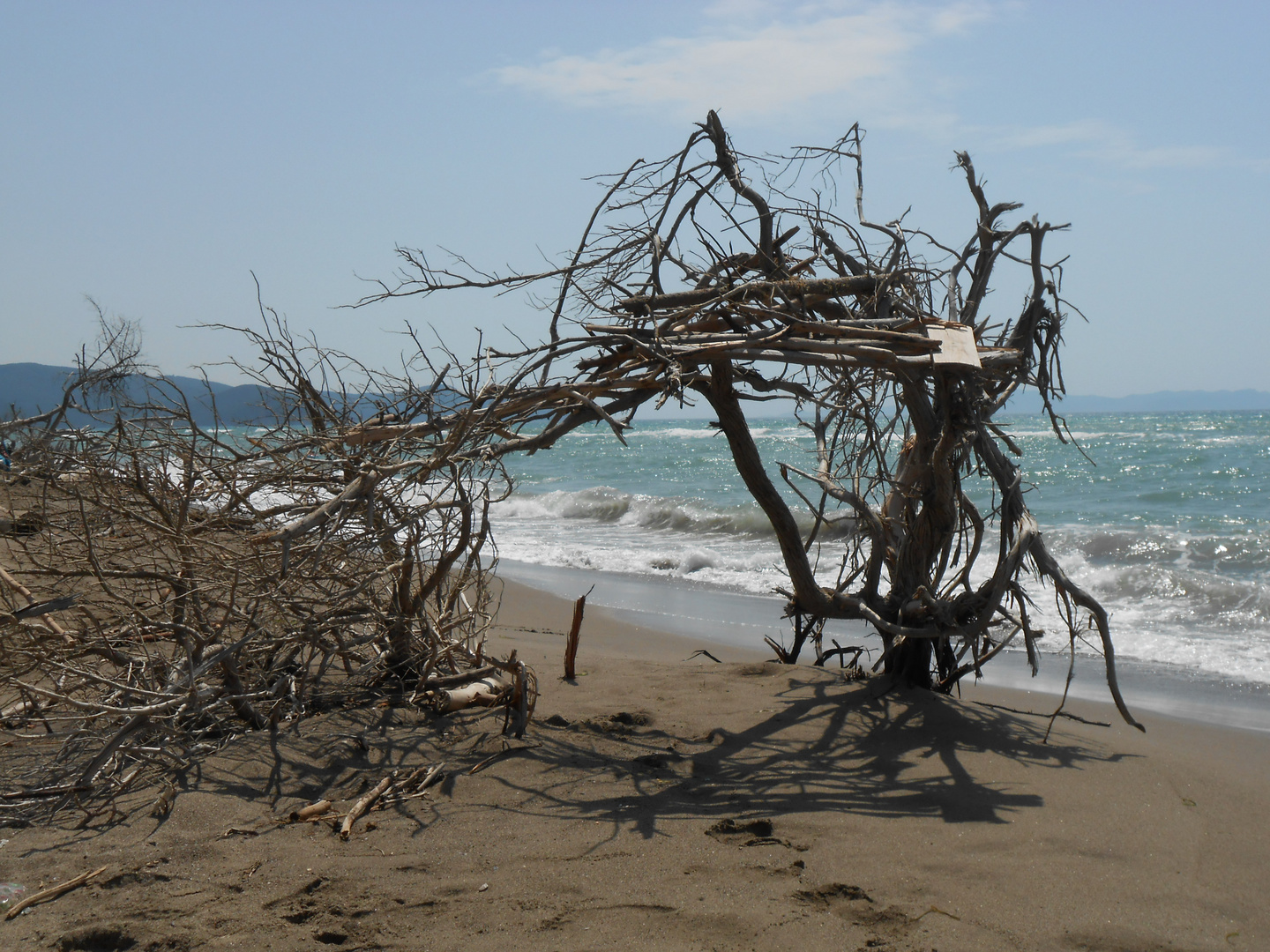 scultura della natura in maremma