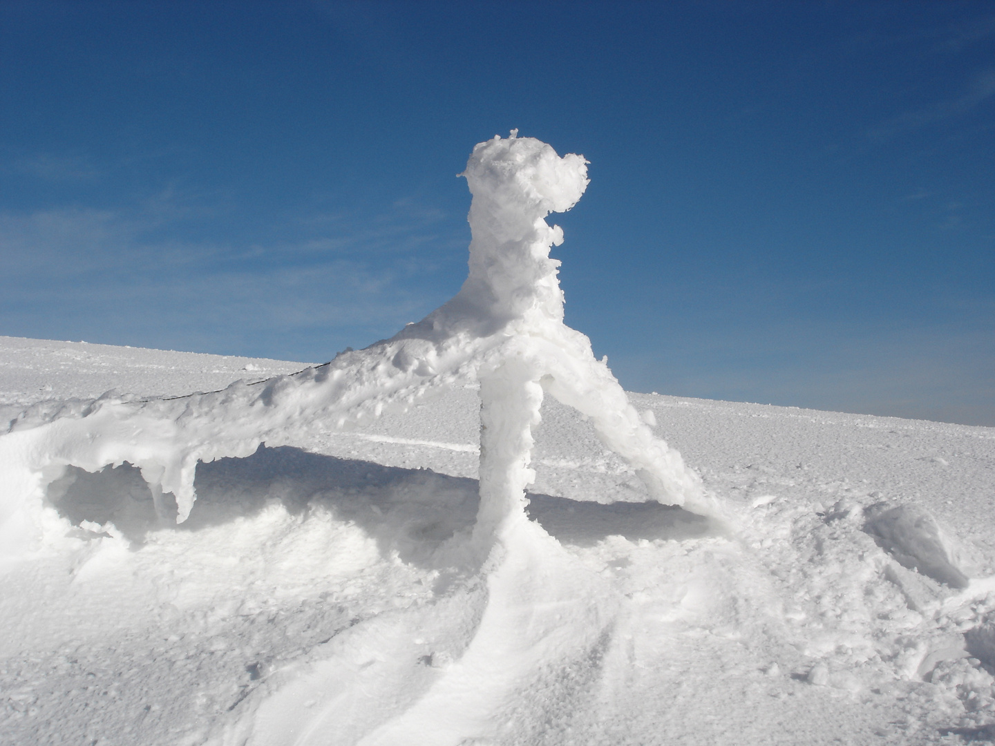 scultura di ghiaccio sul crinale