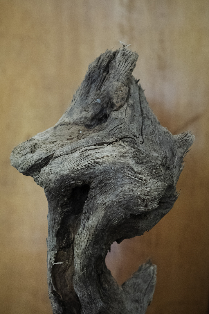 Scultura naturale