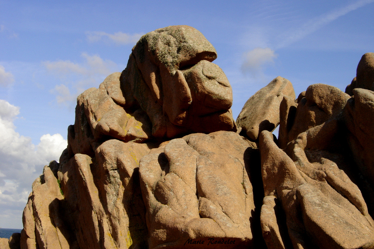 sculture de la nature!!une merveille