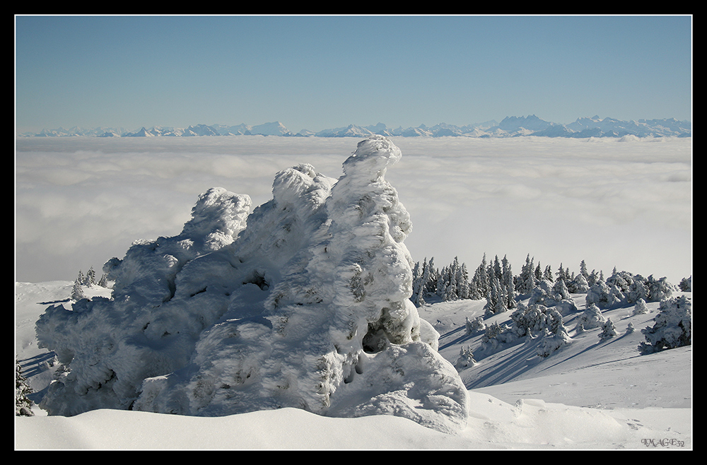 Sculture de l'hiver