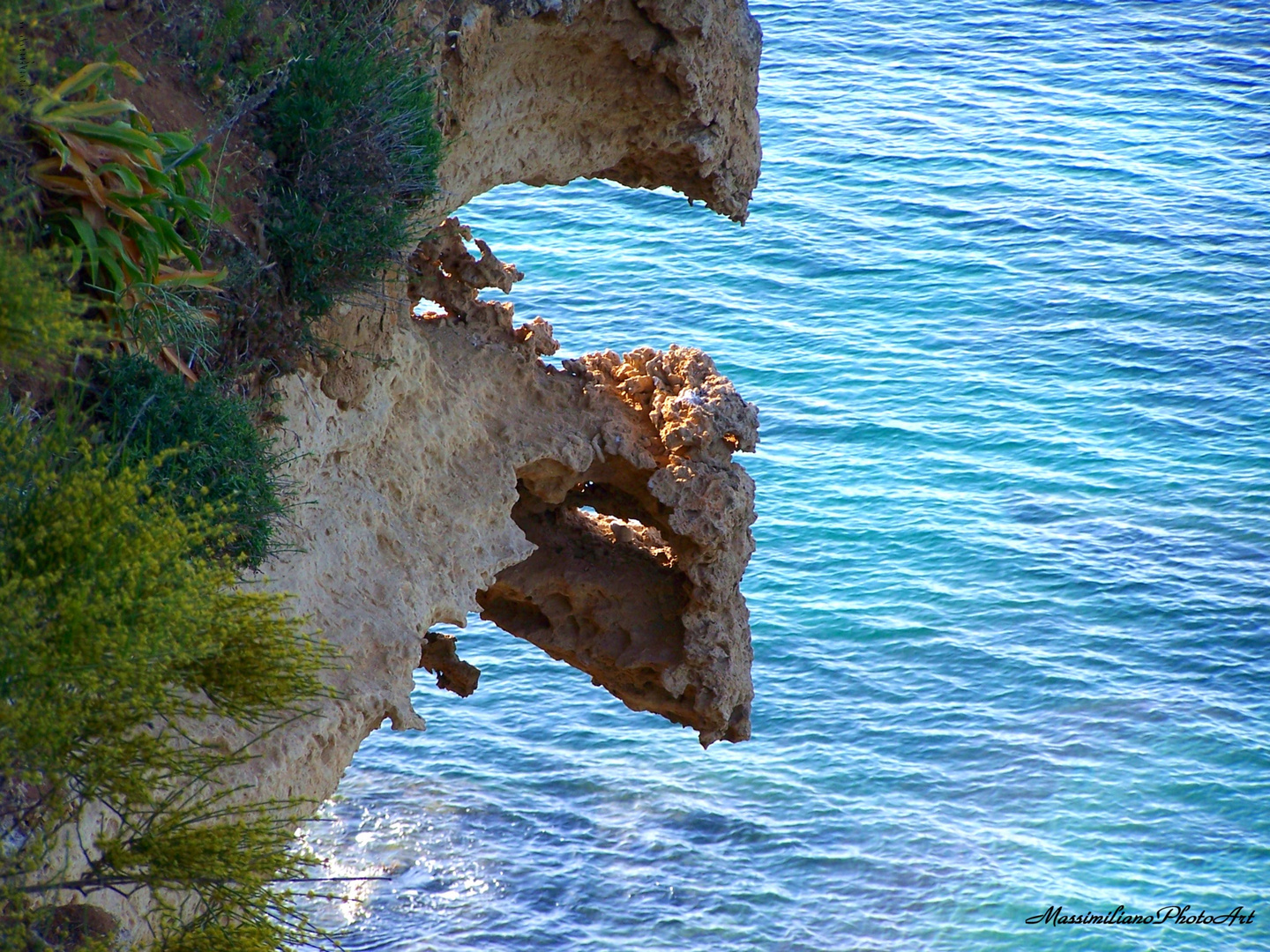 Sculture della natura