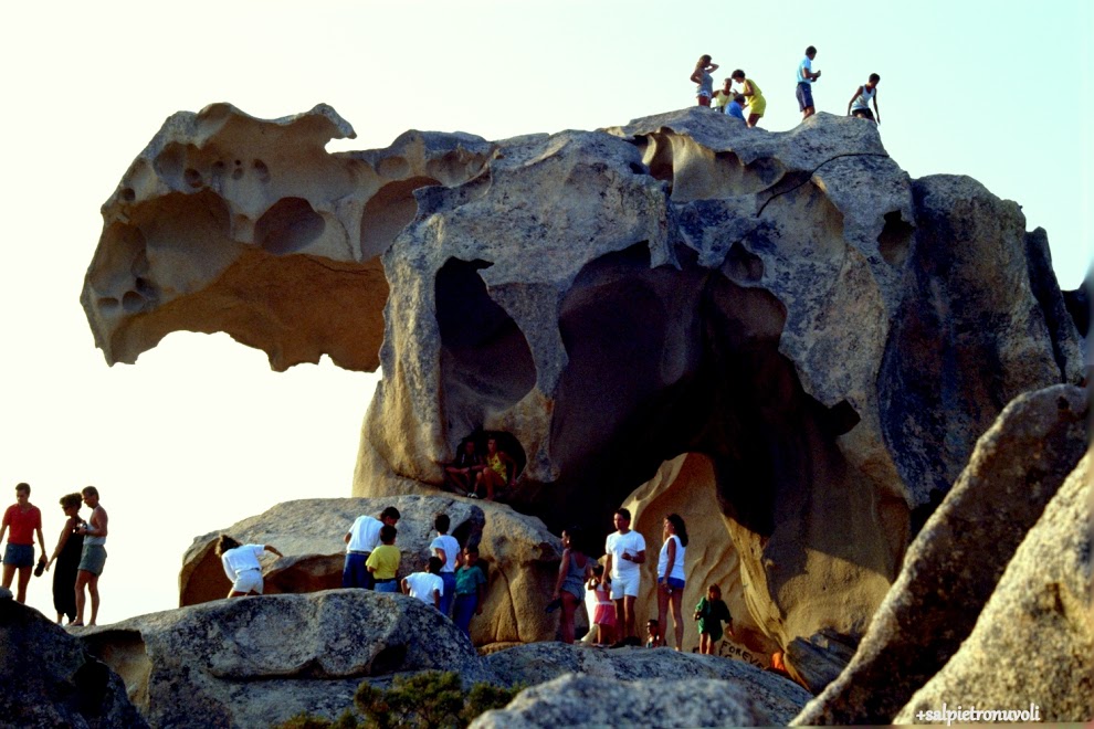 Sculture naturali